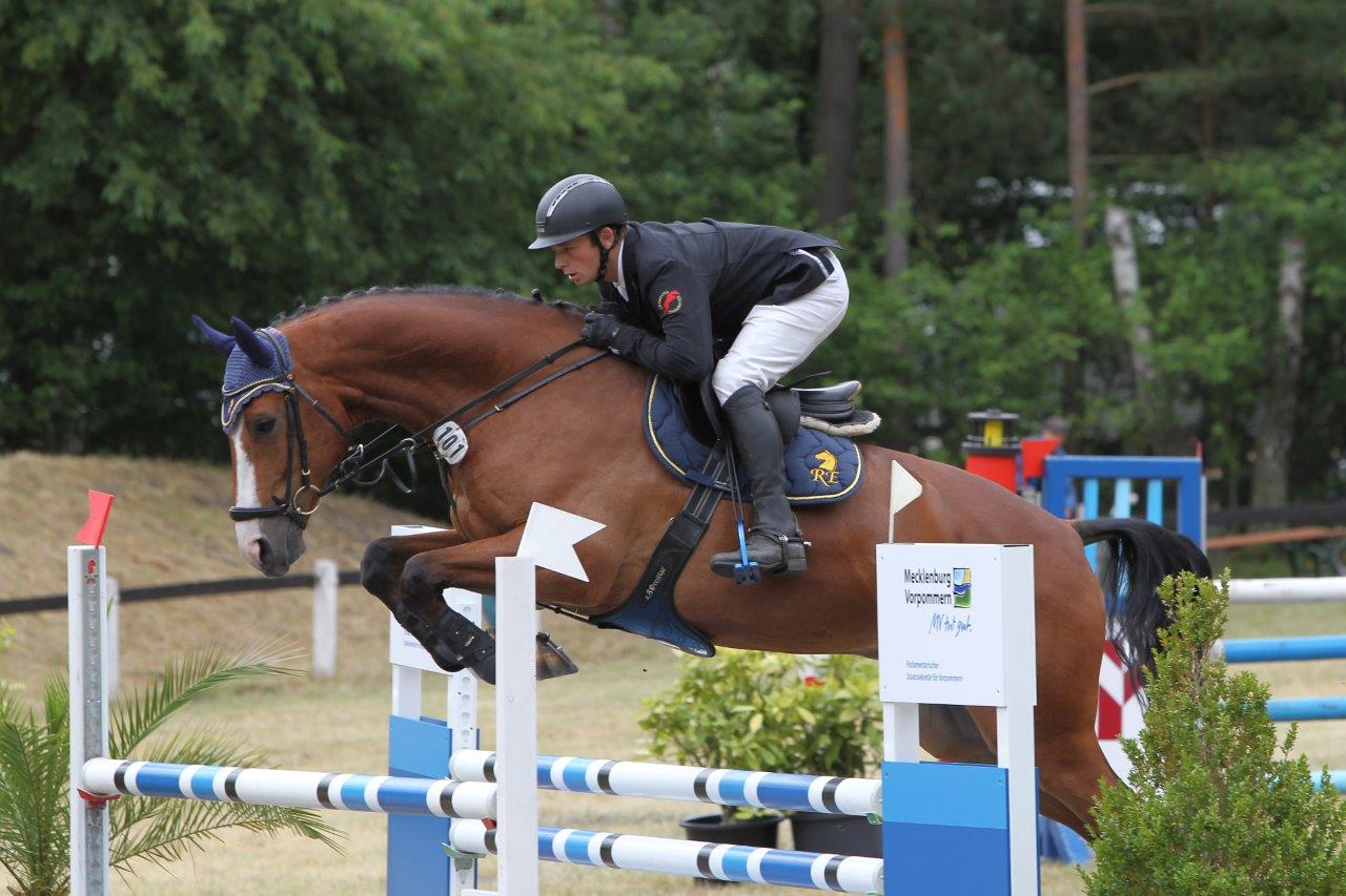 Quinn, Foto: Horse Media Wego